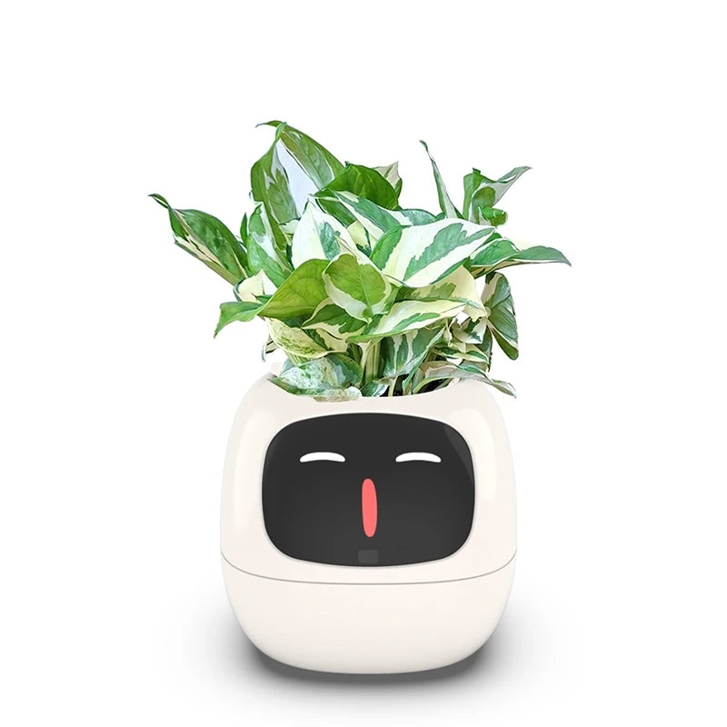 Desktop Smart Small Flower Pot - Trendy Finds