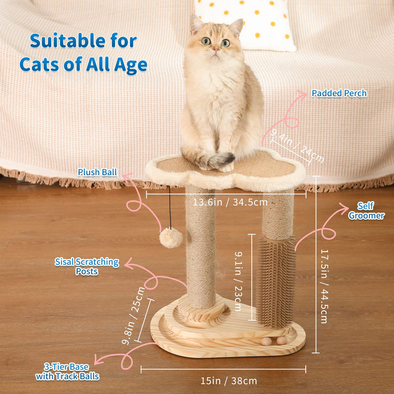 Cat Scratching Post - Trendy Finds