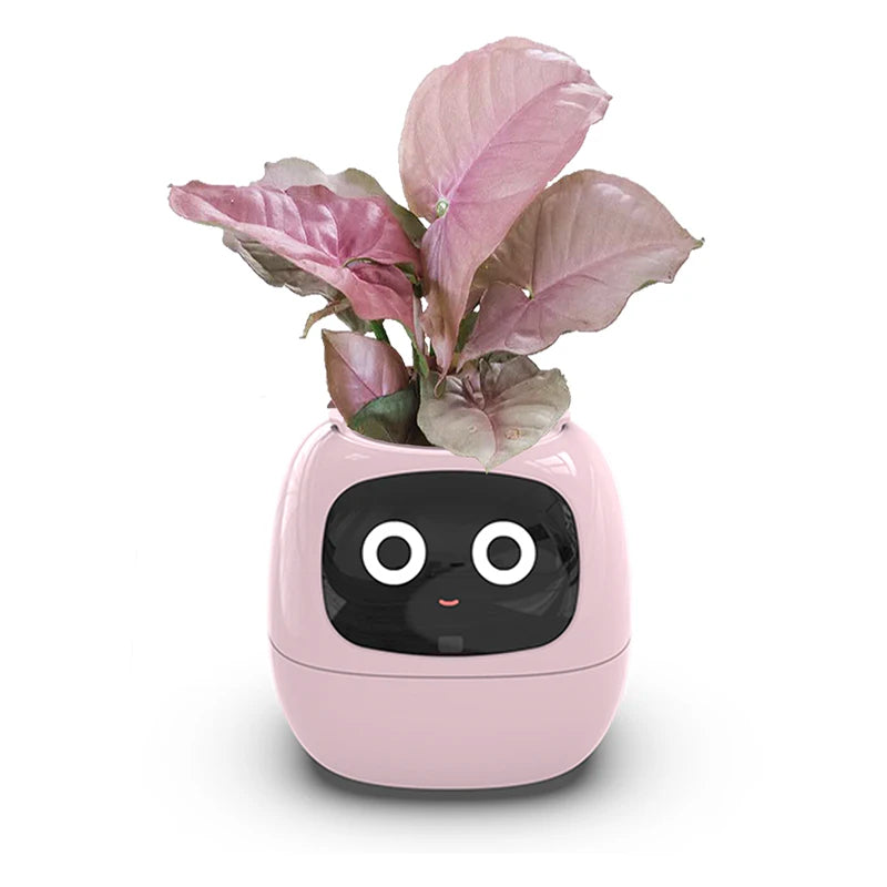 Desktop Smart Small Flower Pot - Trendy Finds