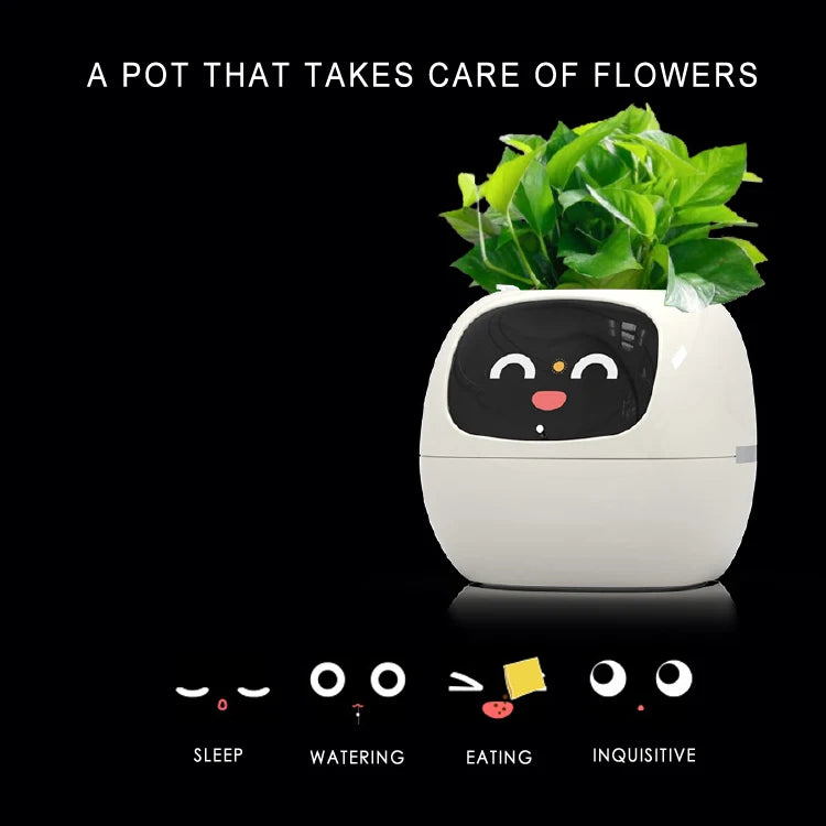 Desktop Smart Small Flower Pot - Trendy Finds