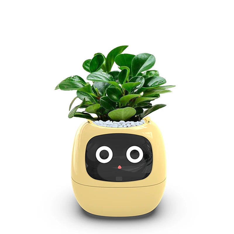 Desktop Smart Small Flower Pot - Trendy Finds