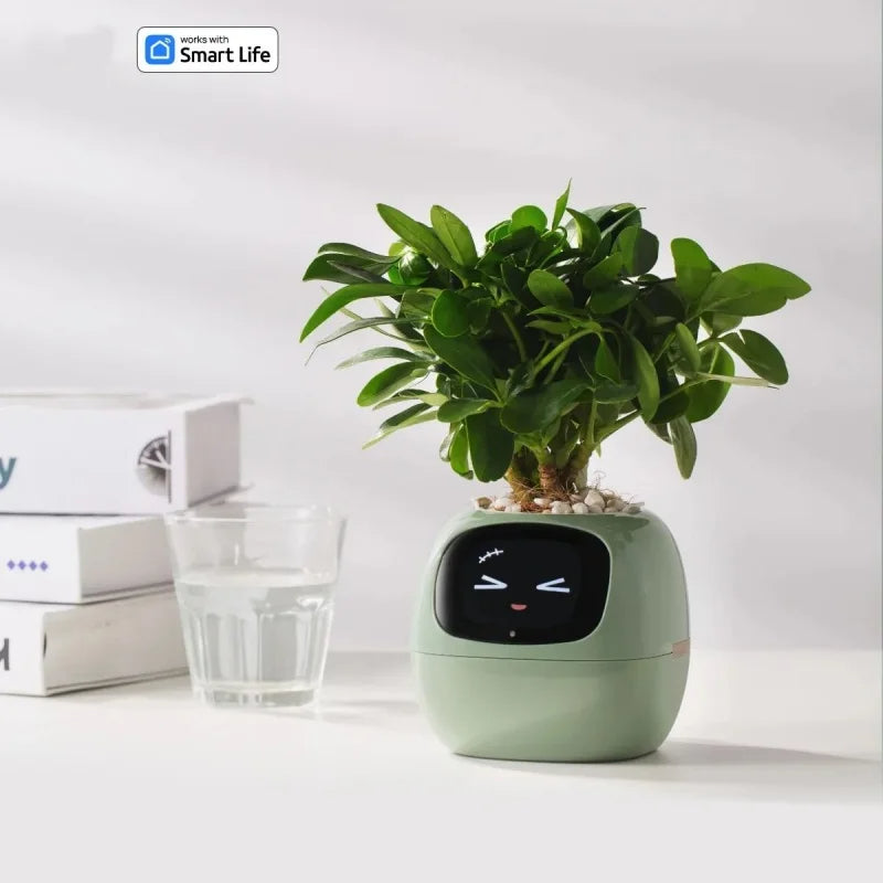 Desktop Smart Small Flower Pot - Trendy Finds