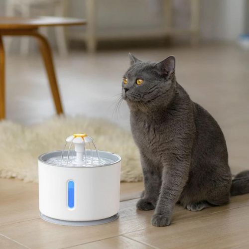 Automatic Cat Water Fountain - Trendy Finds