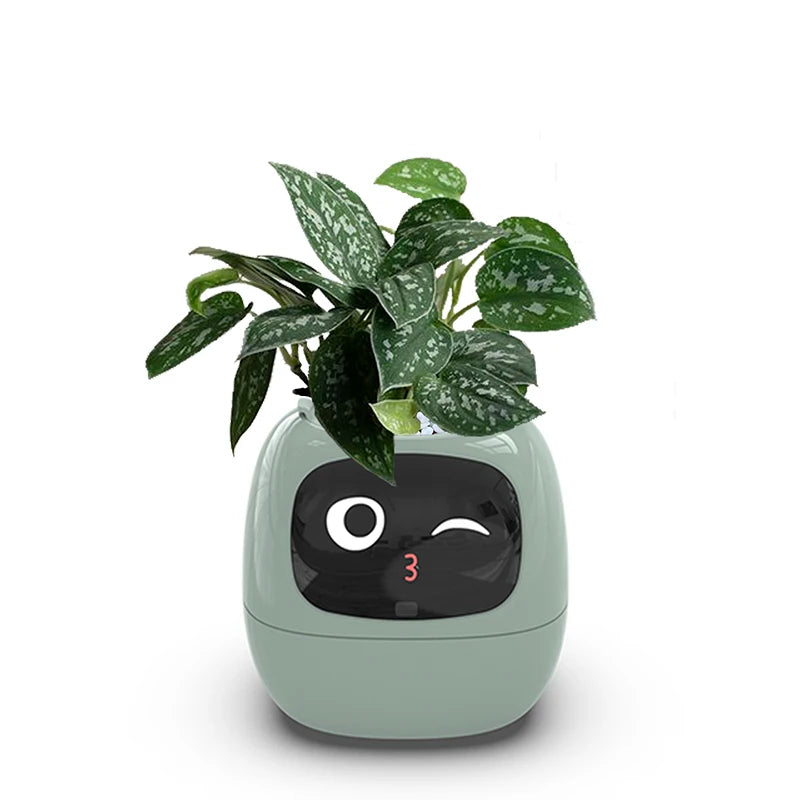 Desktop Smart Small Flower Pot - Trendy Finds