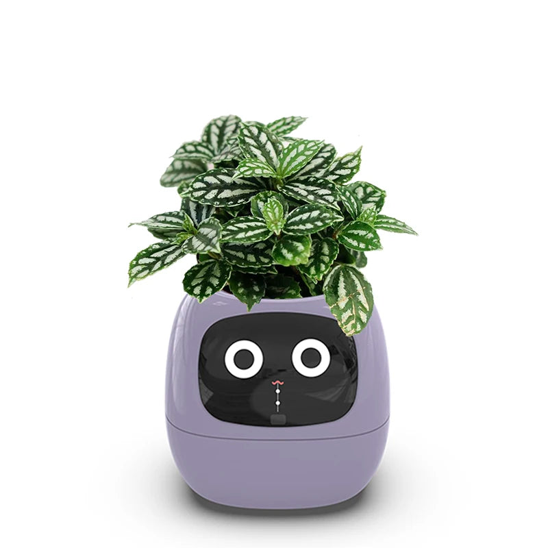 Desktop Smart Small Flower Pot - Trendy Finds