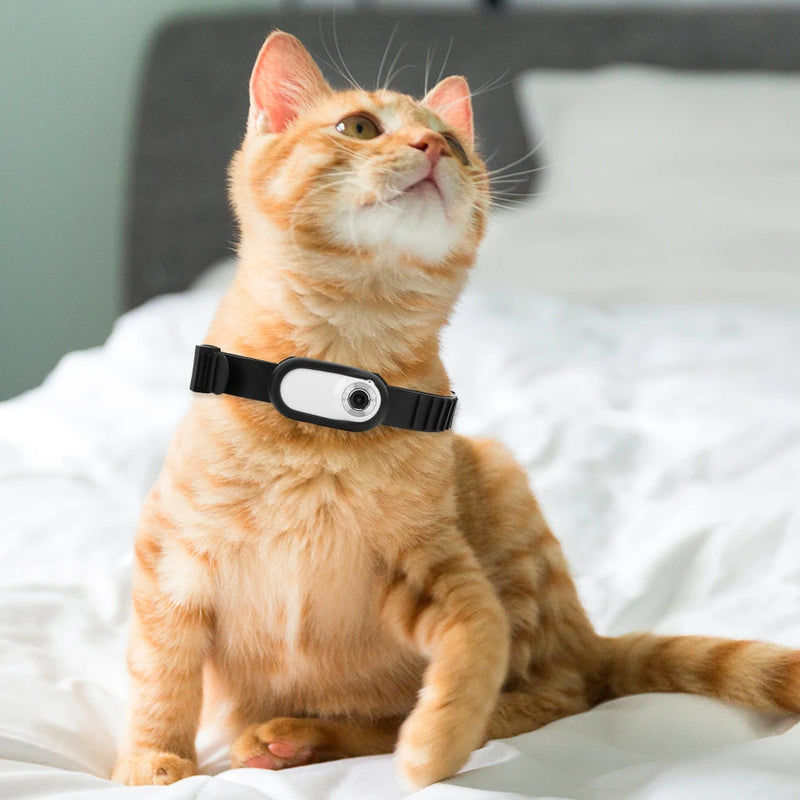 Camera Collar for Cats & Dogs - Trendy Finds