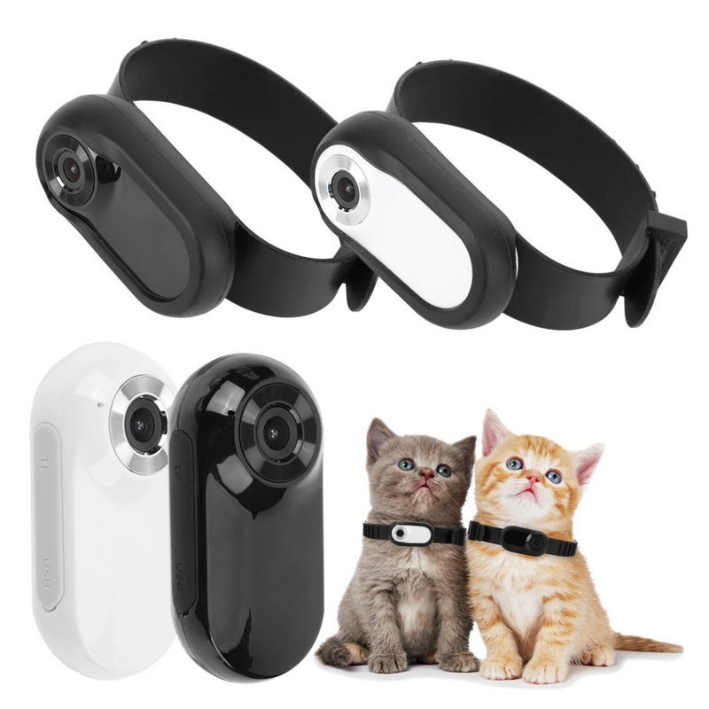 Camera Collar for Cats & Dogs - Trendy Finds